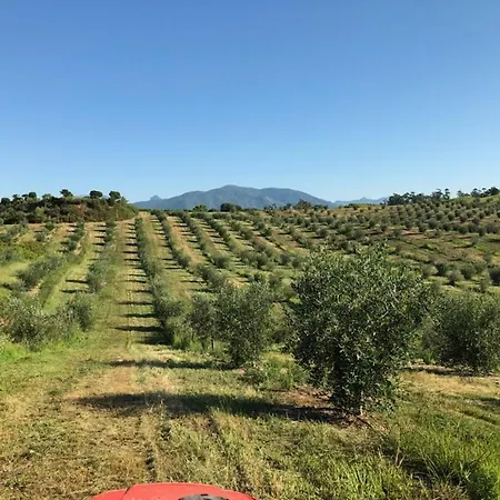 فيلة Casa Di Santa